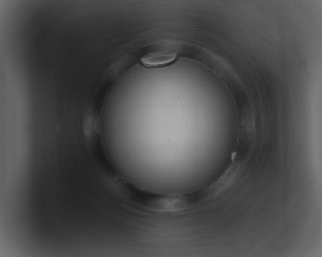 X0000101670172200807101408