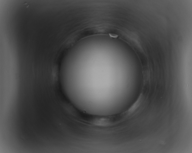 X0000101670174200807101408