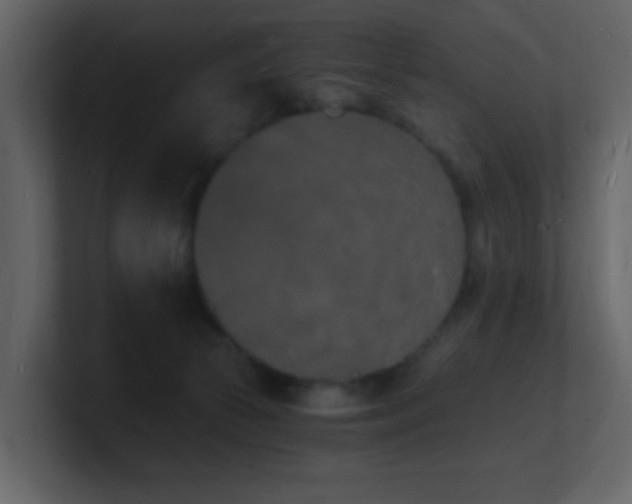 X0000101670177200807101408