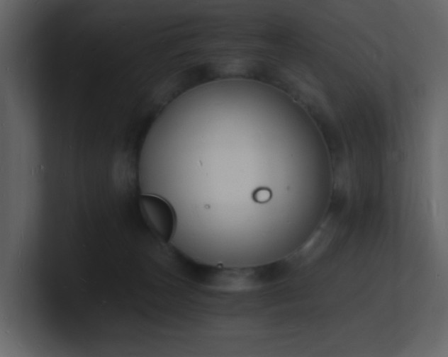 X0000101670179200807101408