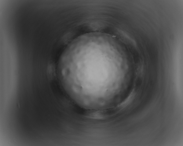 X0000101670182200807101408