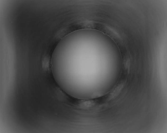 X0000101670185200807101408