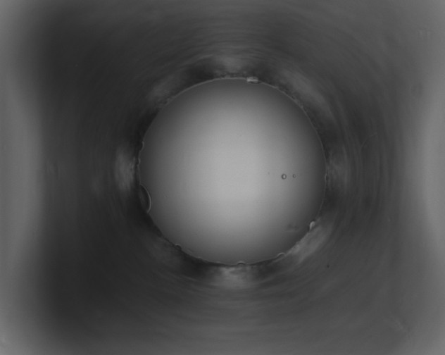 X0000101670188200807101408