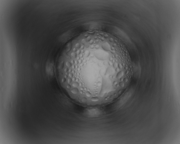 X0000101670189200807101408