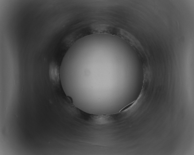 X0000101670191200807101408