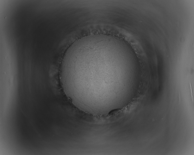 X0000101670192200807101408