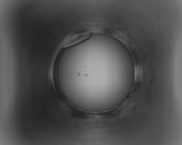 X0000101670195200807101407