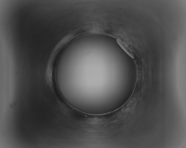 X0000101670197200807101407