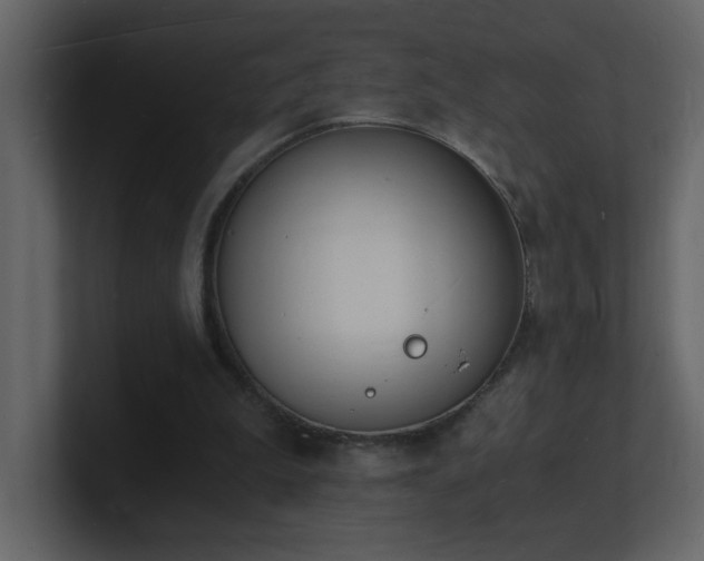 X0000101670199200807101407