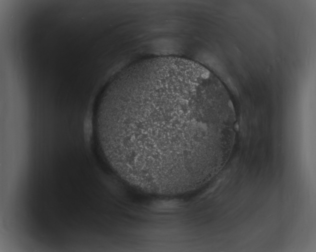 X0000101670202200807101407