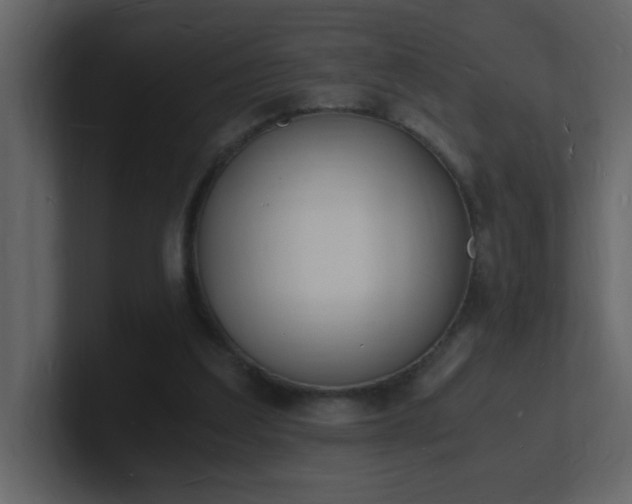 X0000101670203200807101407