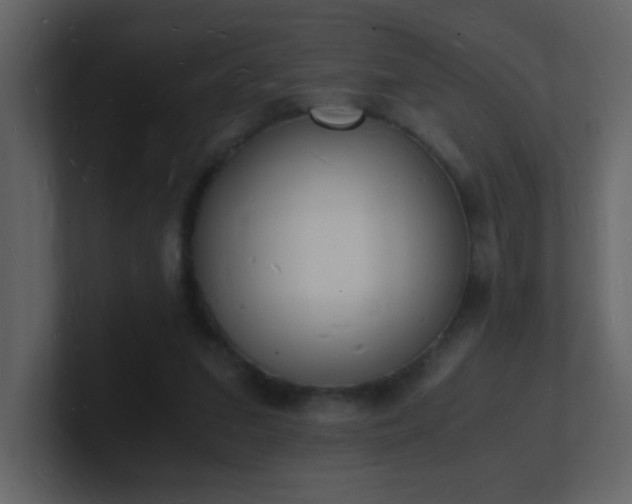 X0000101670207200807101407