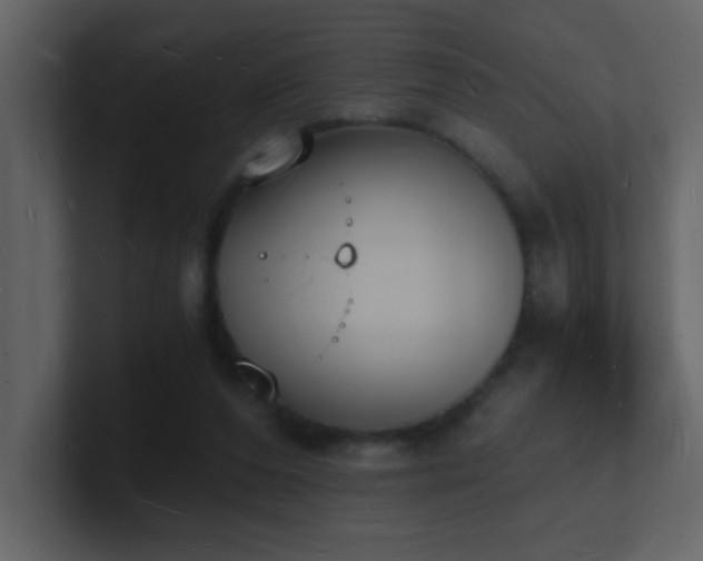 X0000101670208200807101407