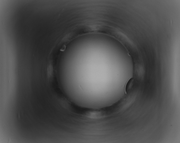 X0000101670220200807101407