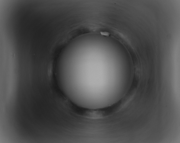 X0000101670221200807101407