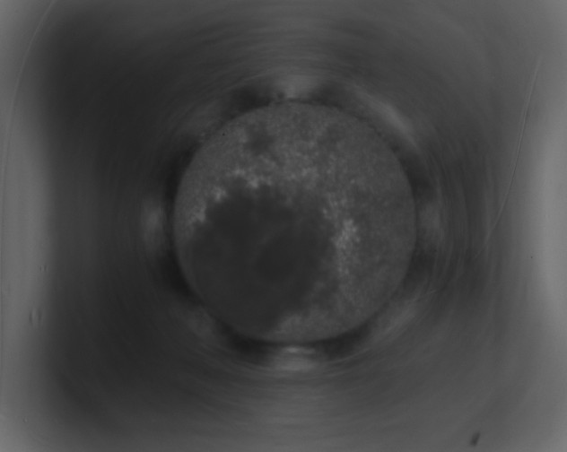 X0000101670222200807101407