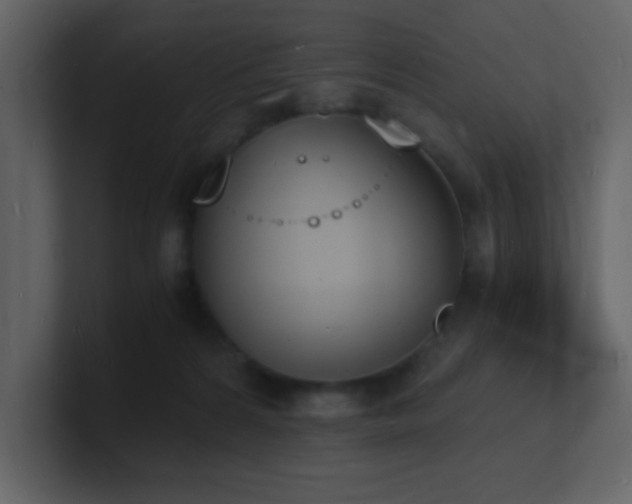 X0000101670224200807101407