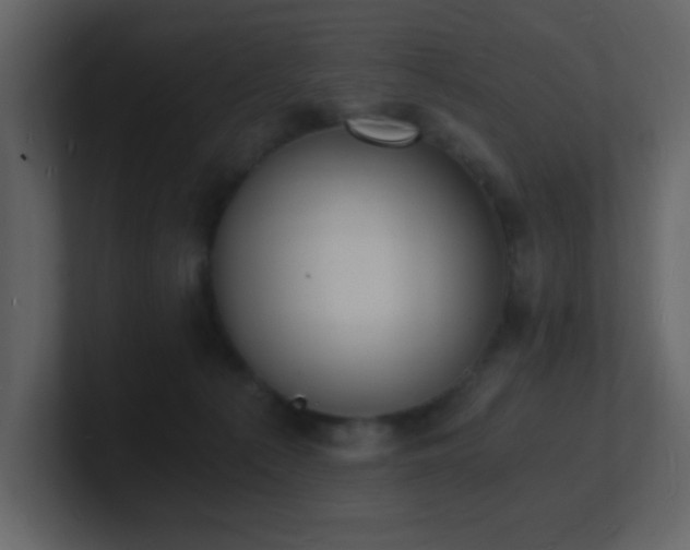X0000101670225200807101407