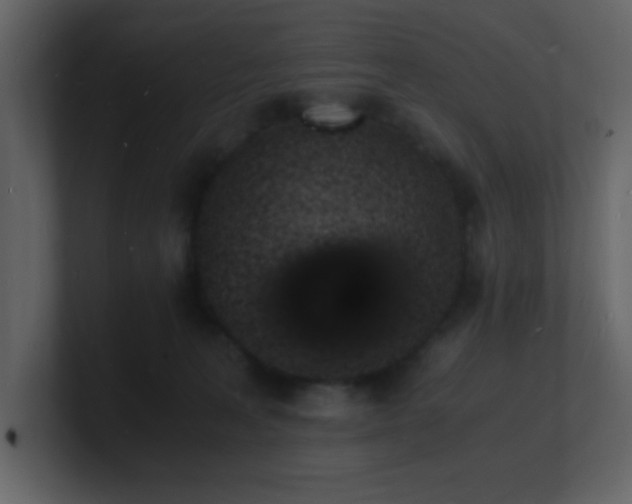 X0000101670227200807101407