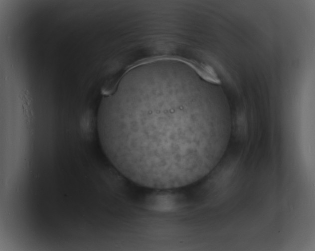 X0000101670228200807101407