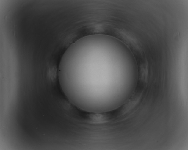 X0000101670230200807101407