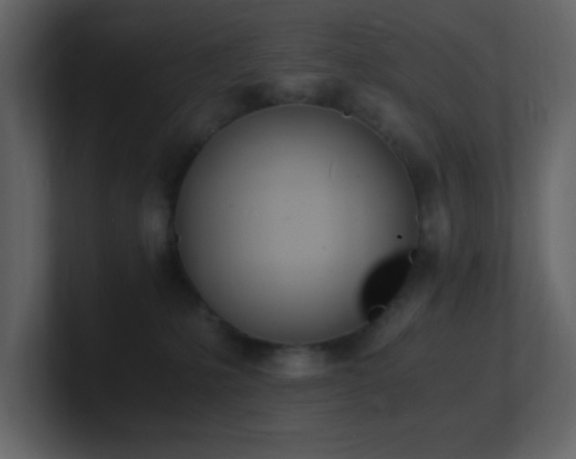 X0000101670231200807101407