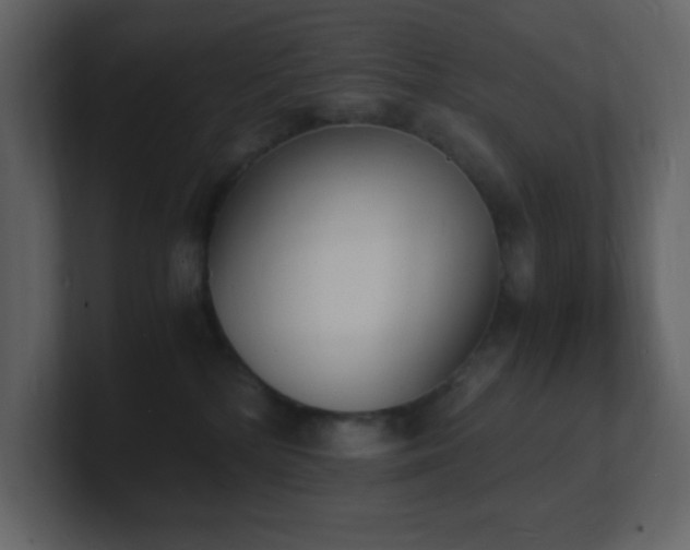 X0000101670232200807101407