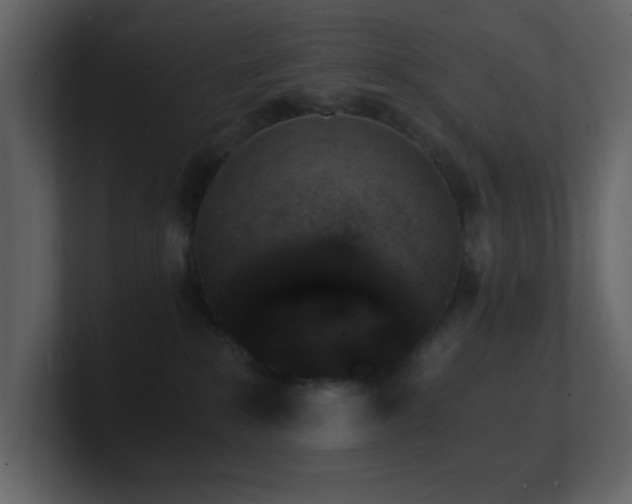 X0000101670235200807101407