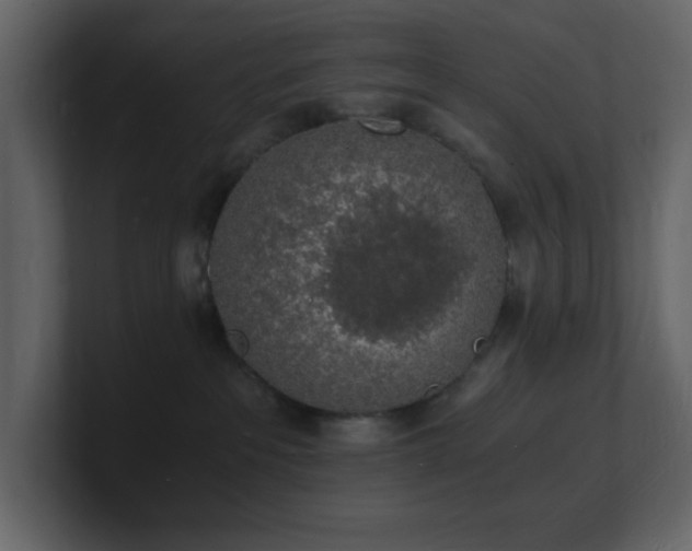 X0000101670237200807101407