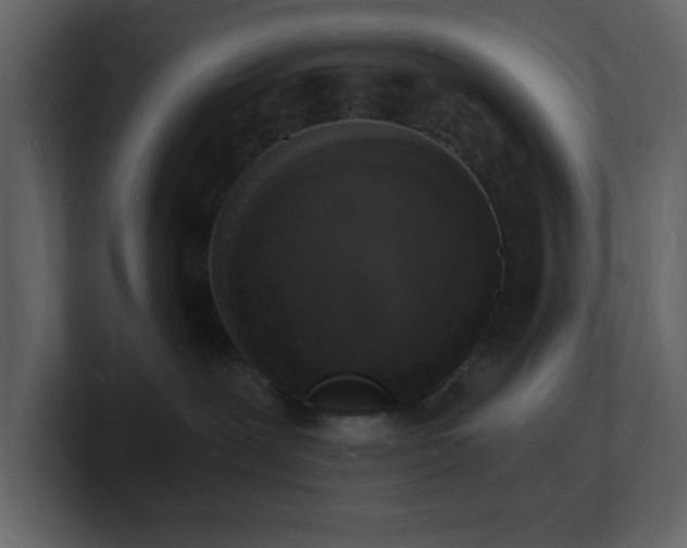 X0000101670239200807101407