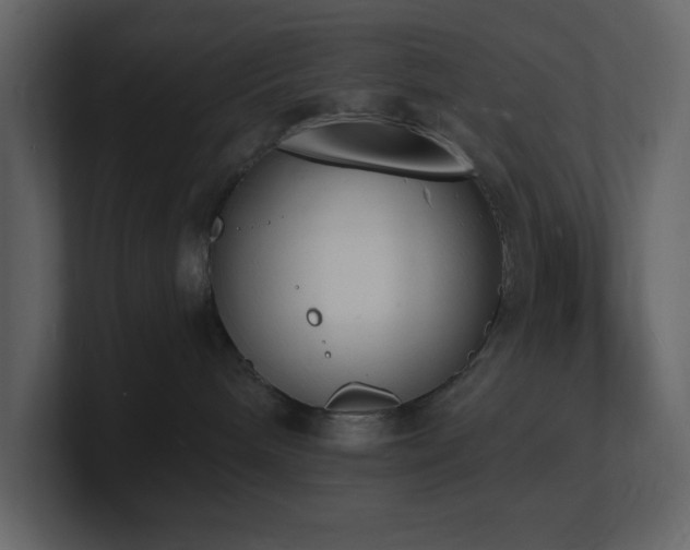 X0000101670240200807101407