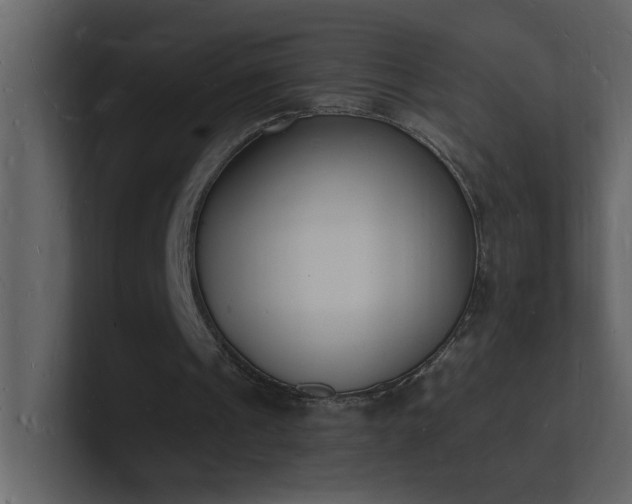 X0000101670241200807101406