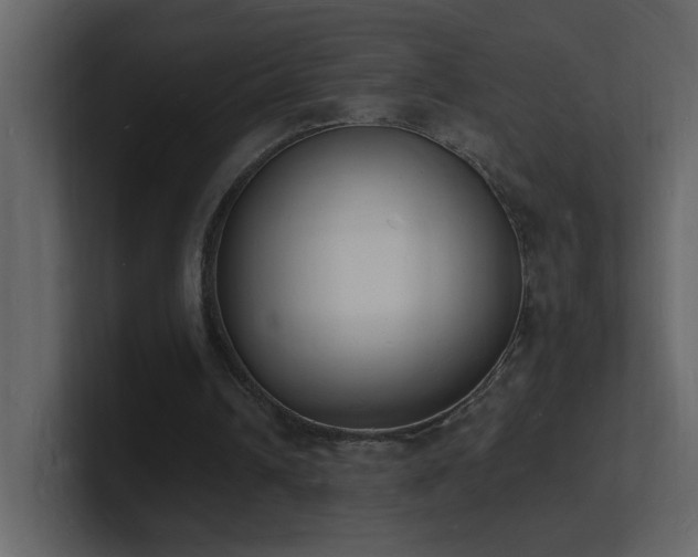X0000101670242200807101406