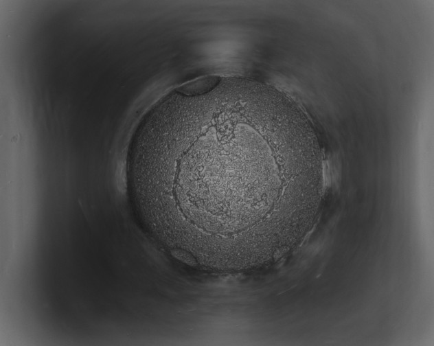 X0000101670243200807101406
