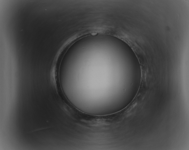X0000101670244200807101406