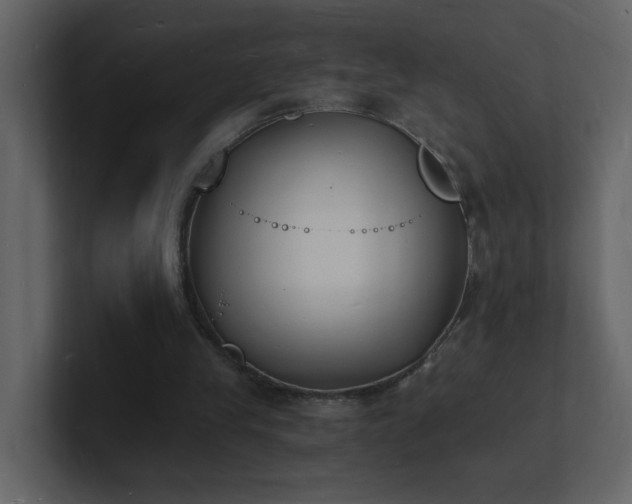 X0000101670245200807101406