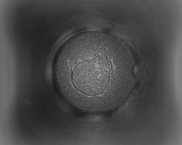 X0000101670247200807101406