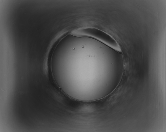 X0000101670248200807101406