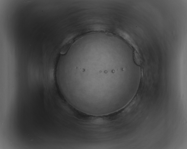 X0000101670249200807101406