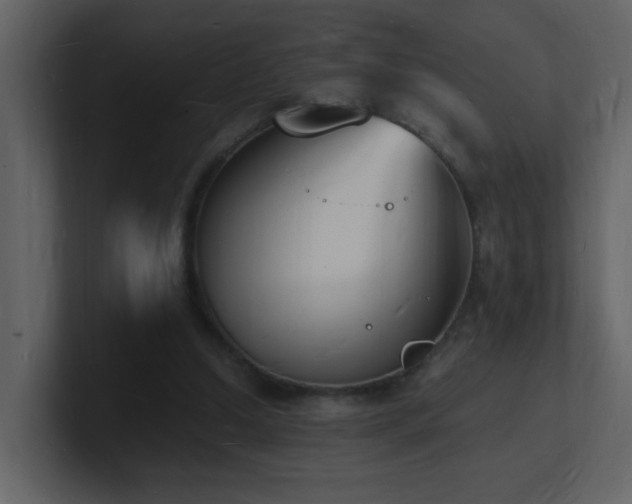 X0000101670250200807101406