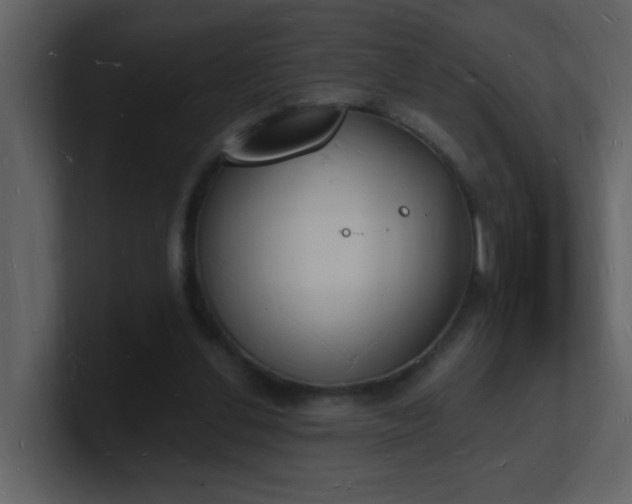 X0000101670252200807101406