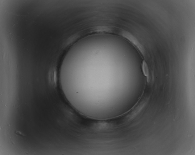 X0000101670253200807101406