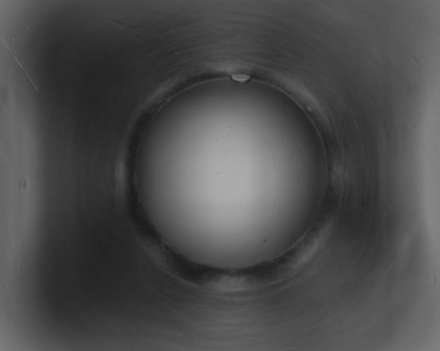 X0000101670256200807101406