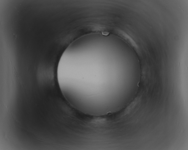 X0000101670257200807101406
