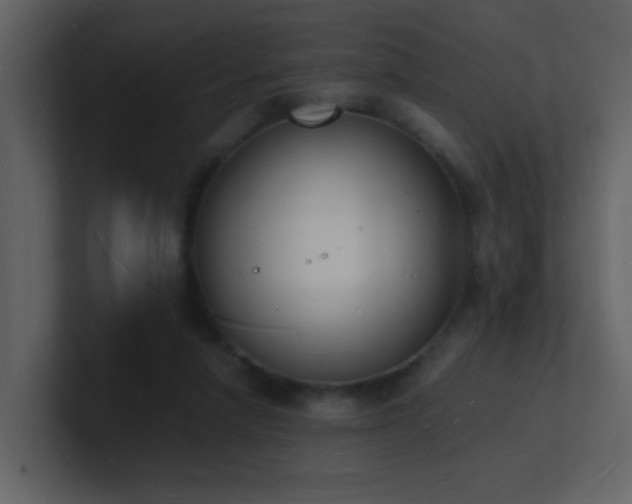 X0000101670258200807101406