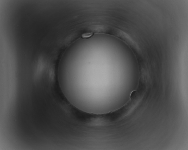X0000101670259200807101406