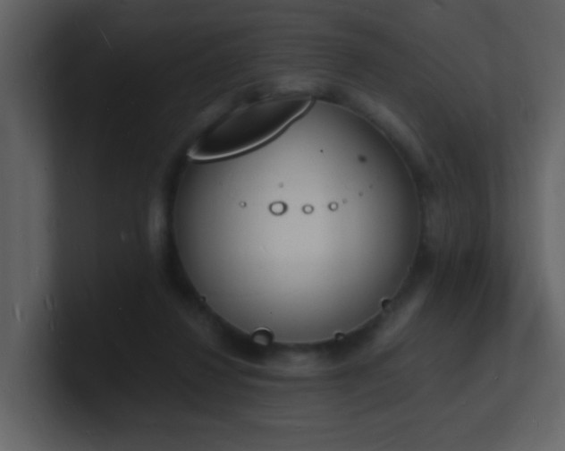 X0000101670260200807101406