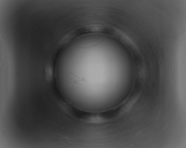 X0000101670262200807101406