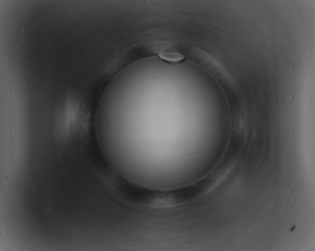 X0000101670263200807101406