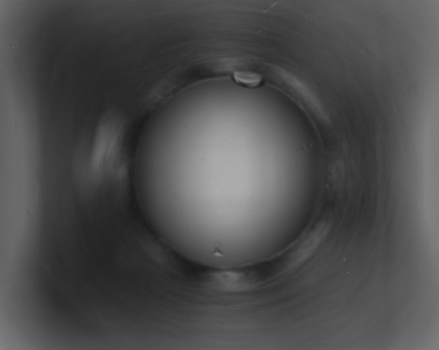 X0000101670265200807101407